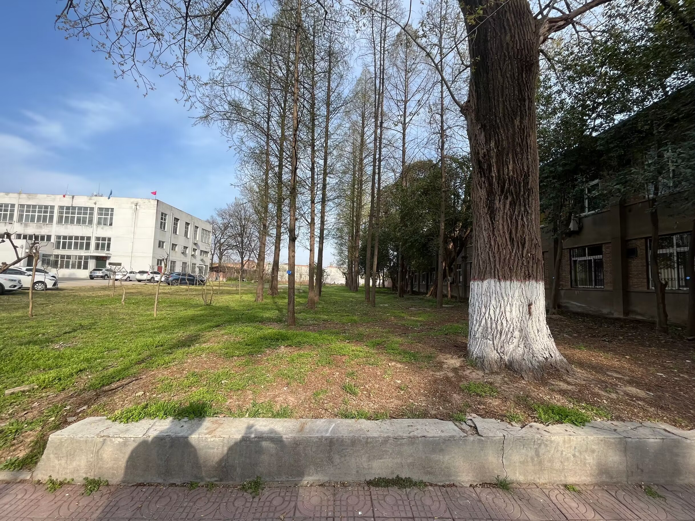 dfb1801b2d114af897654d9c01f14f2f.jpg dfb1801b2d114af897654d9c01f14f2f.jpg