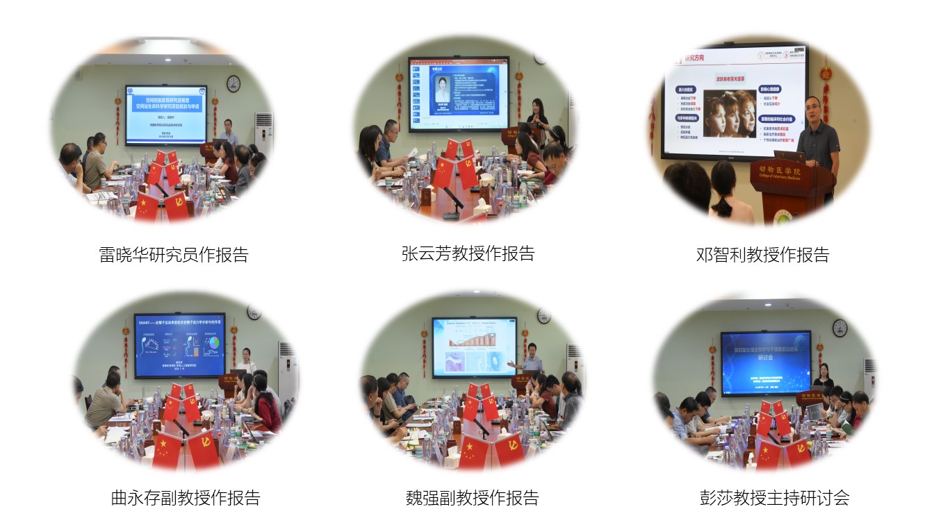 研讨会2.jpg