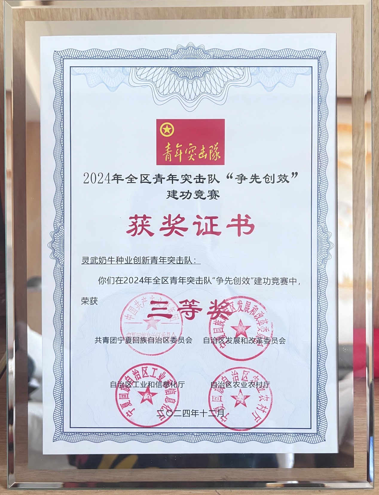 获奖证书.jpg